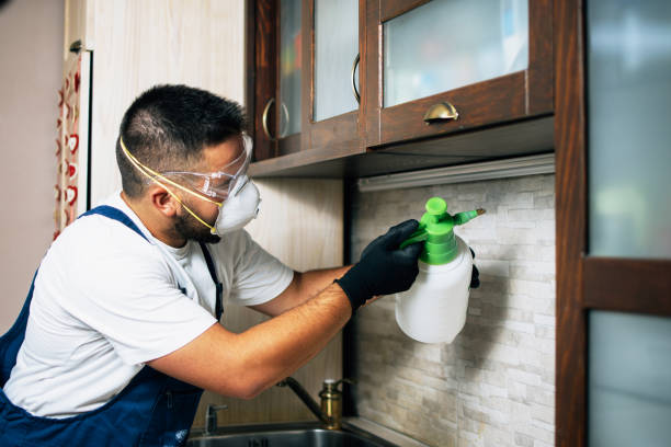 Best Pest Prevention Services  in Cape Canaveral, FL