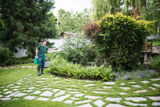 Best Pest Inspection Near Me  in Cape Canaveral, FL