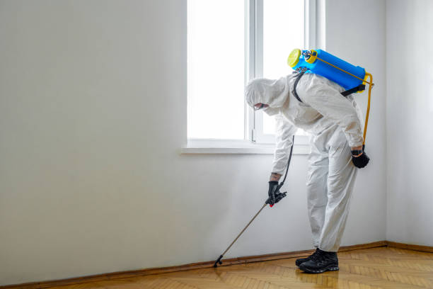 Best Residential Pest Control  in Cape Canaveral, FL