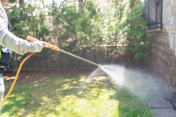 Best Wasp Removal Services  in Cape Canaveral, FL