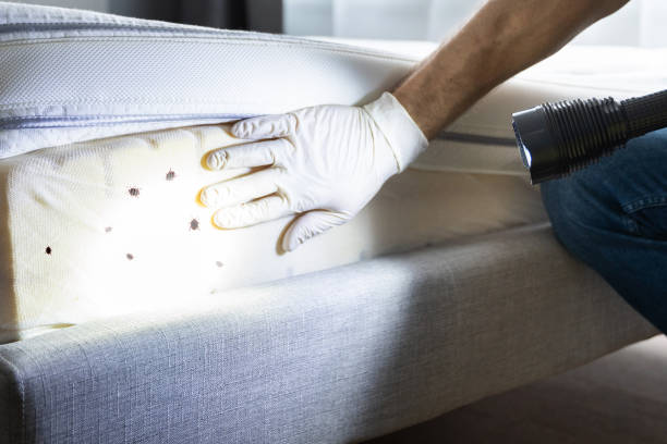 Best Commercial Pest Control Services  in Cape Canaveral, FL